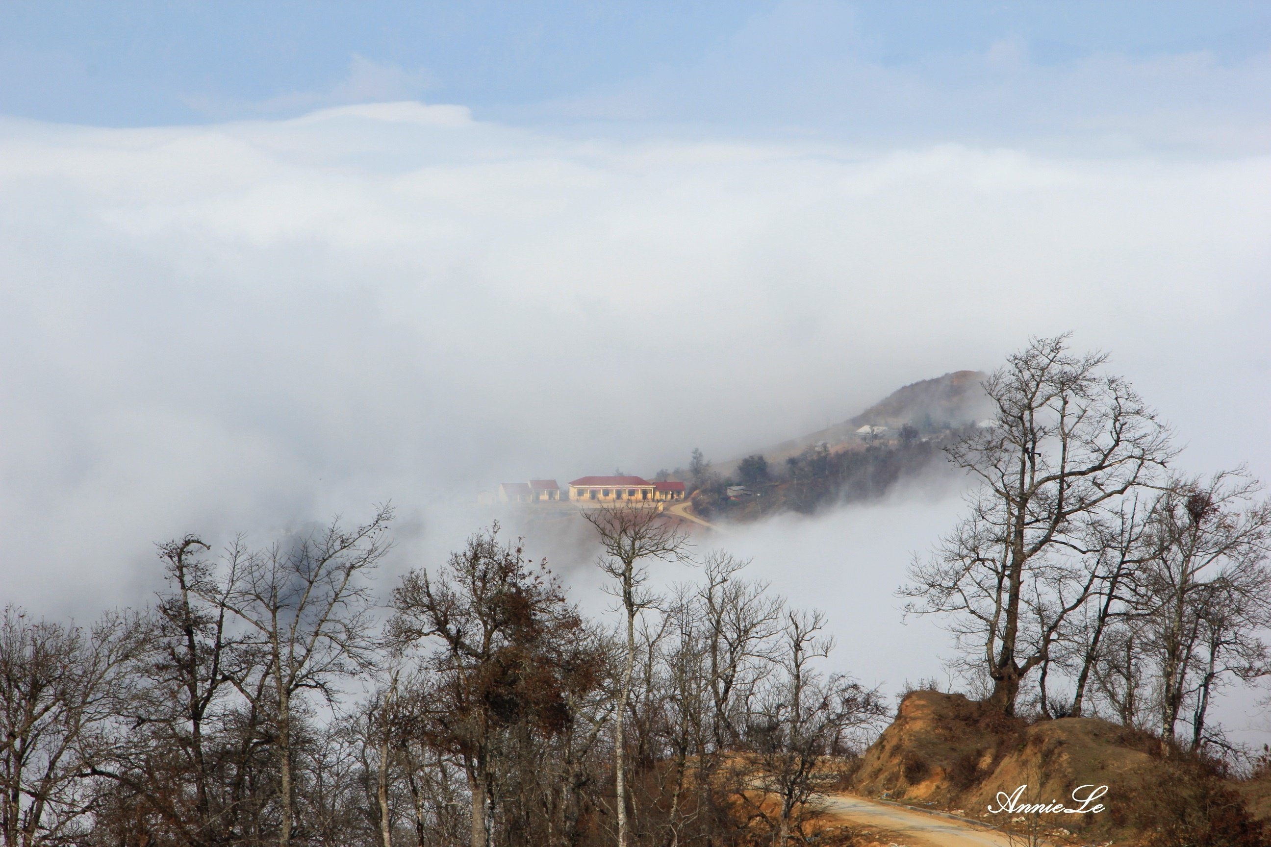 Y Ty mua bong benh may troi hinh anh