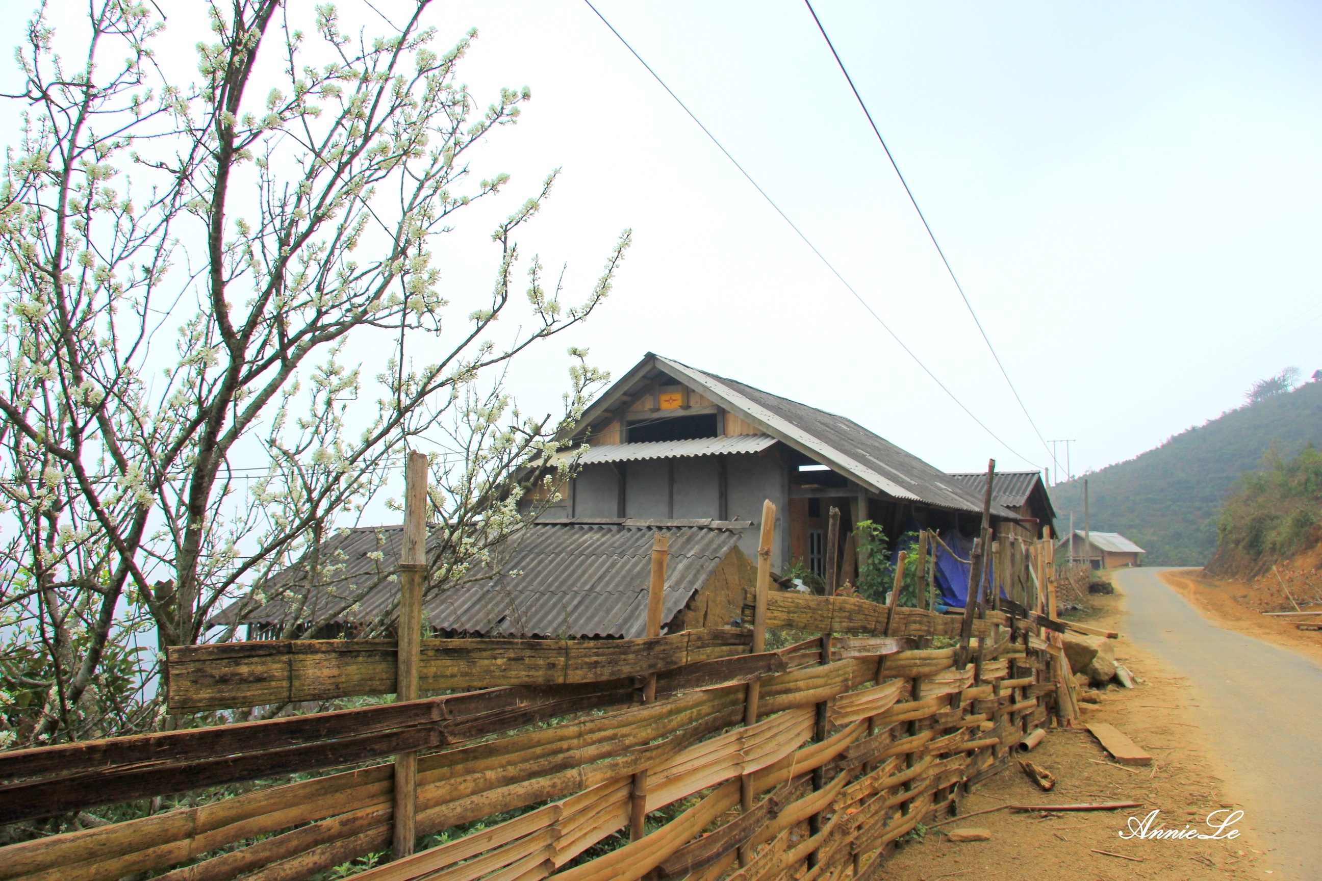 Y Ty mua san may anh 13