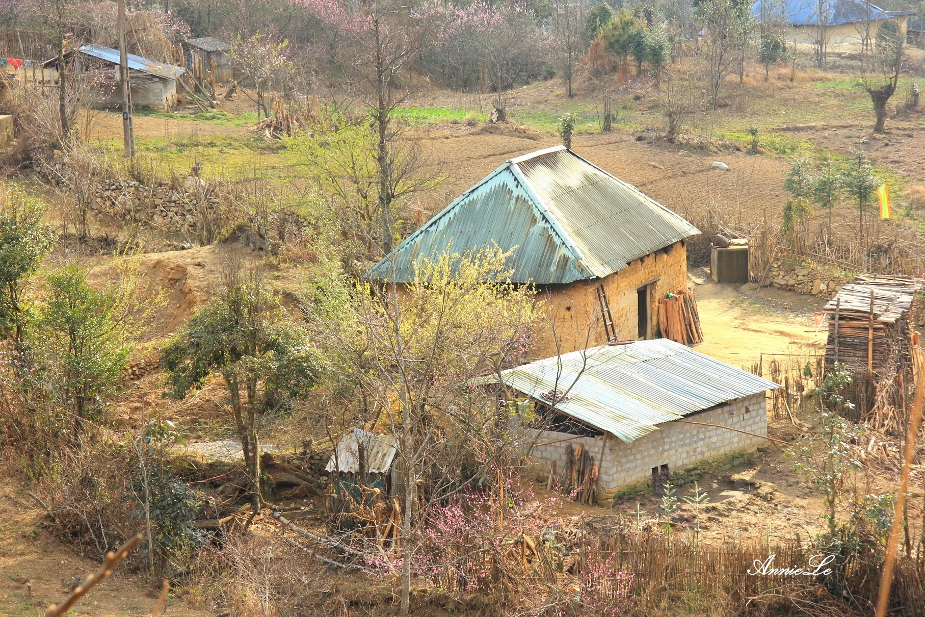 Y Ty mua san may anh 4