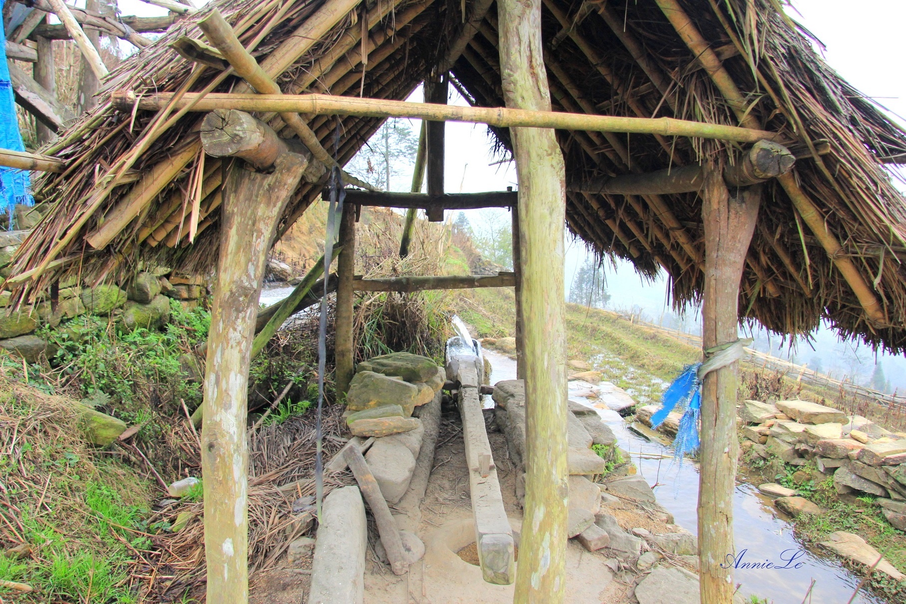 Y Ty mua san may anh 5