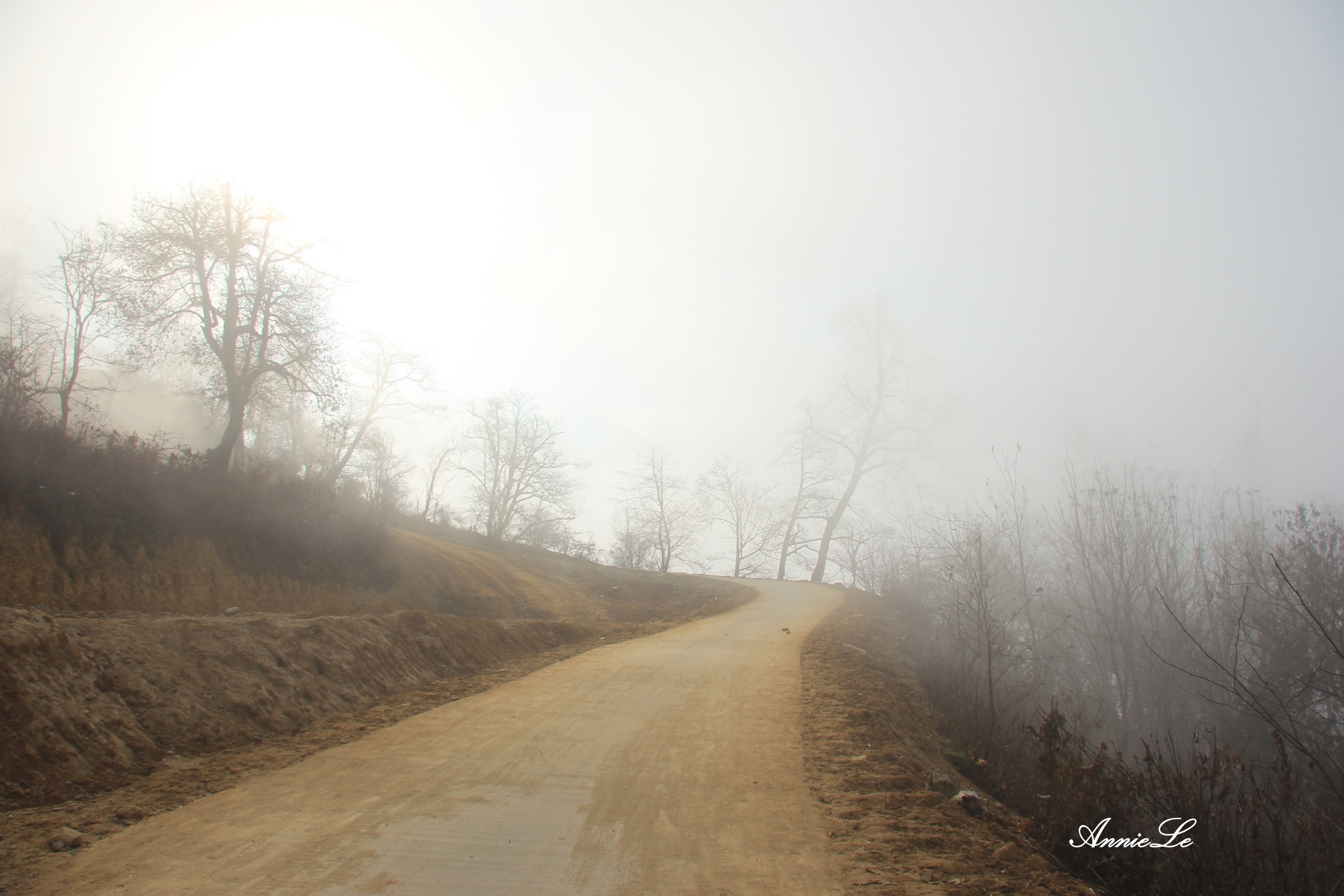 Y Ty mua san may anh 7