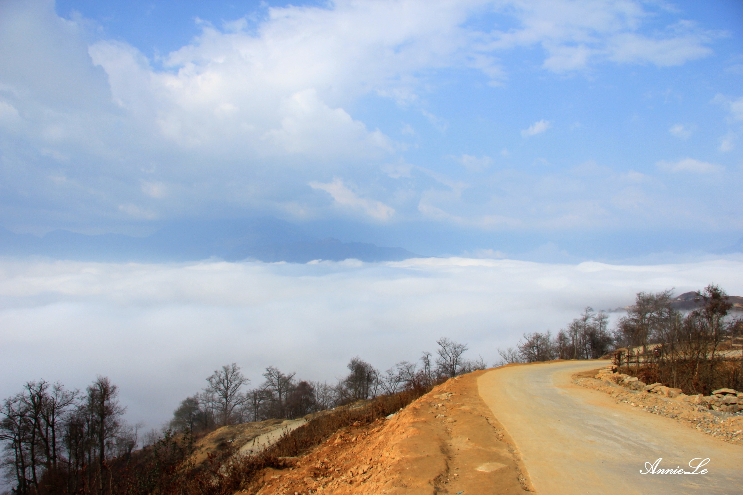 Y Ty mua san may anh 8