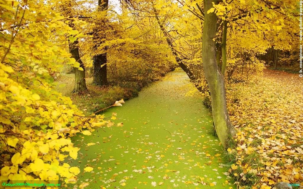 Ngay 8/3 cua ban hinh anh