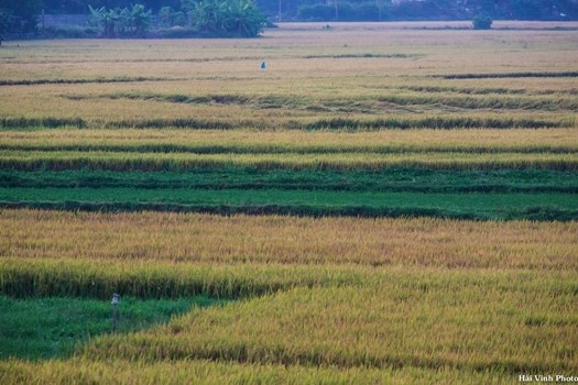 Phu Yen moc mac binh di anh 1