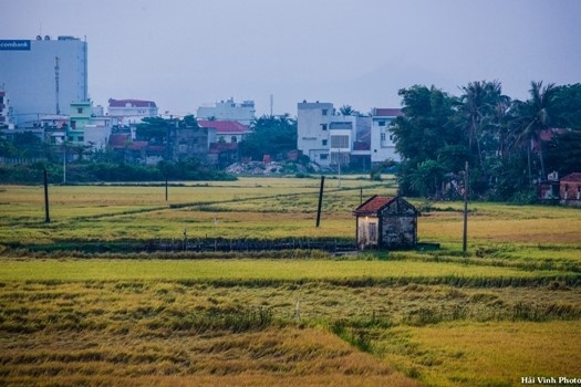 Phu Yen moc mac binh di anh 2