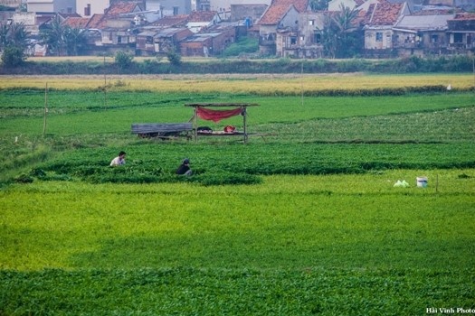 Phu Yen moc mac binh di anh 3