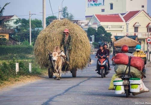 Phu Yen moc mac binh di anh 5