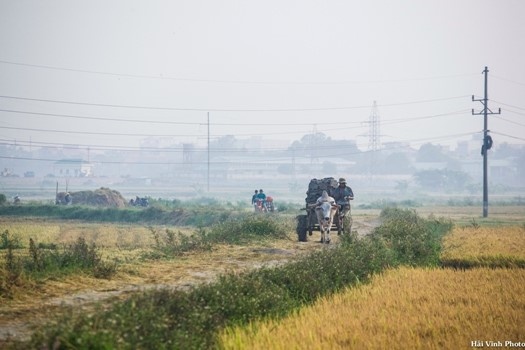 Phu Yen moc mac binh di anh 8