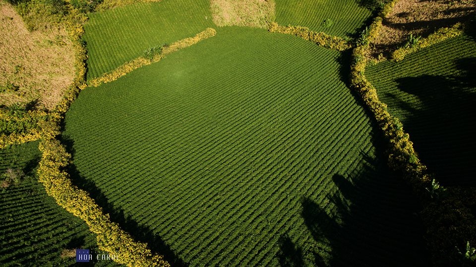 Núi lửa Chư Đăng Ya ảnh 2 Nui lua Chu Dang Ya anh 2