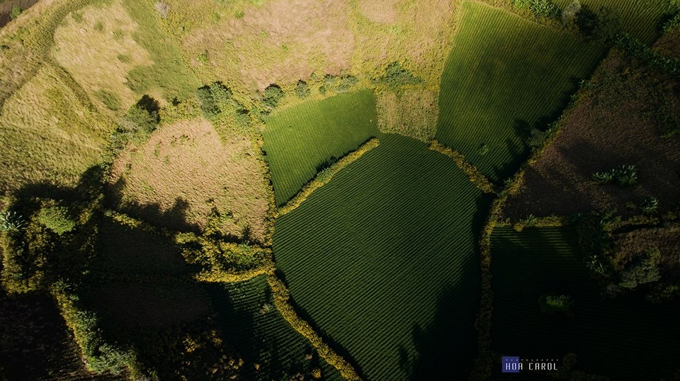 Núi lửa Chư Đăng Ya ảnh 3 Nui lua Chu Dang Ya anh 3