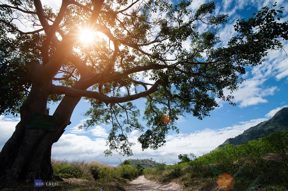 Núi lửa Chư Đăng Ya ảnh 4 Nui lua Chu Dang Ya anh 4