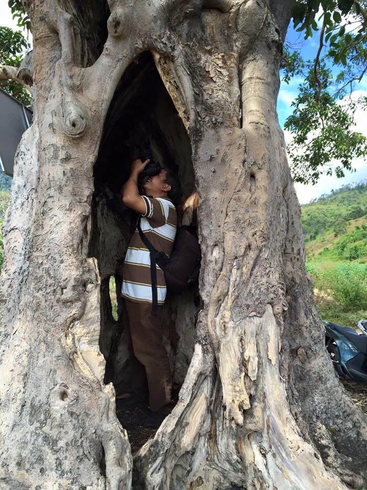 Núi lửa Chư Đăng Ya ảnh 8 Nui lua Chu Dang Ya anh 8