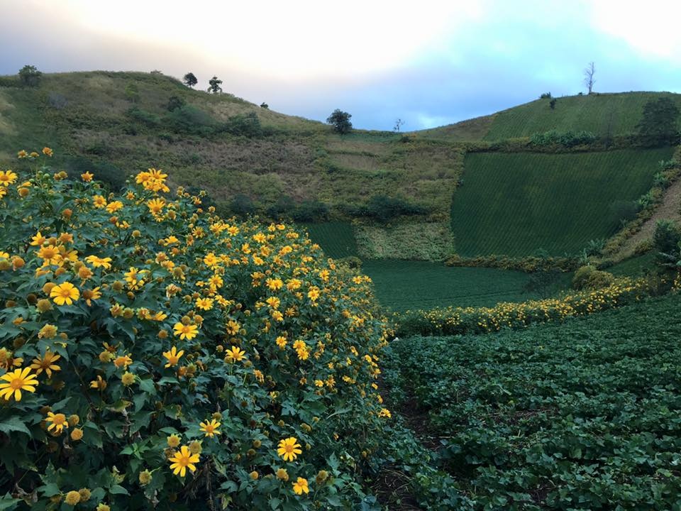 Núi lửa Chư Đăng Ya ảnh 9 Nui lua Chu Dang Ya anh 9