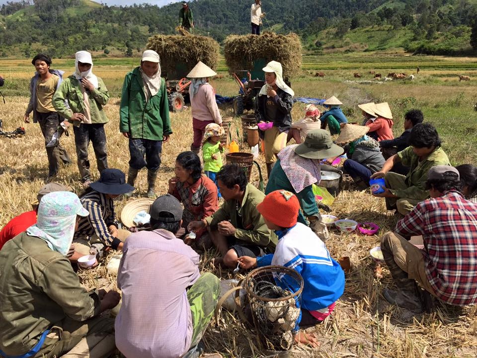 Núi lửa Chư Đăng Ya ảnh 11 Nui lua Chu Dang Ya anh 11