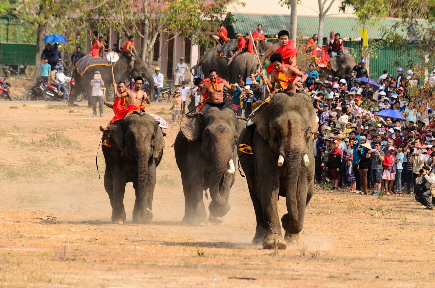 Lễ hội đua voi Buôn Đôn ảnh 5 Le hoi dua voi Buon Don anh 5