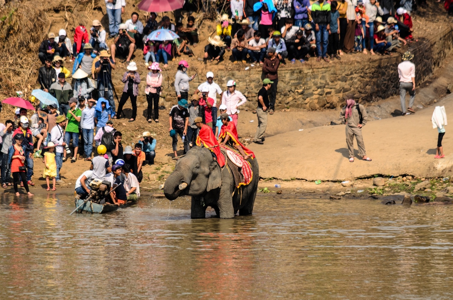 Lễ hội đua voi Buôn Đôn ảnh 7 Le hoi dua voi Buon Don anh 7