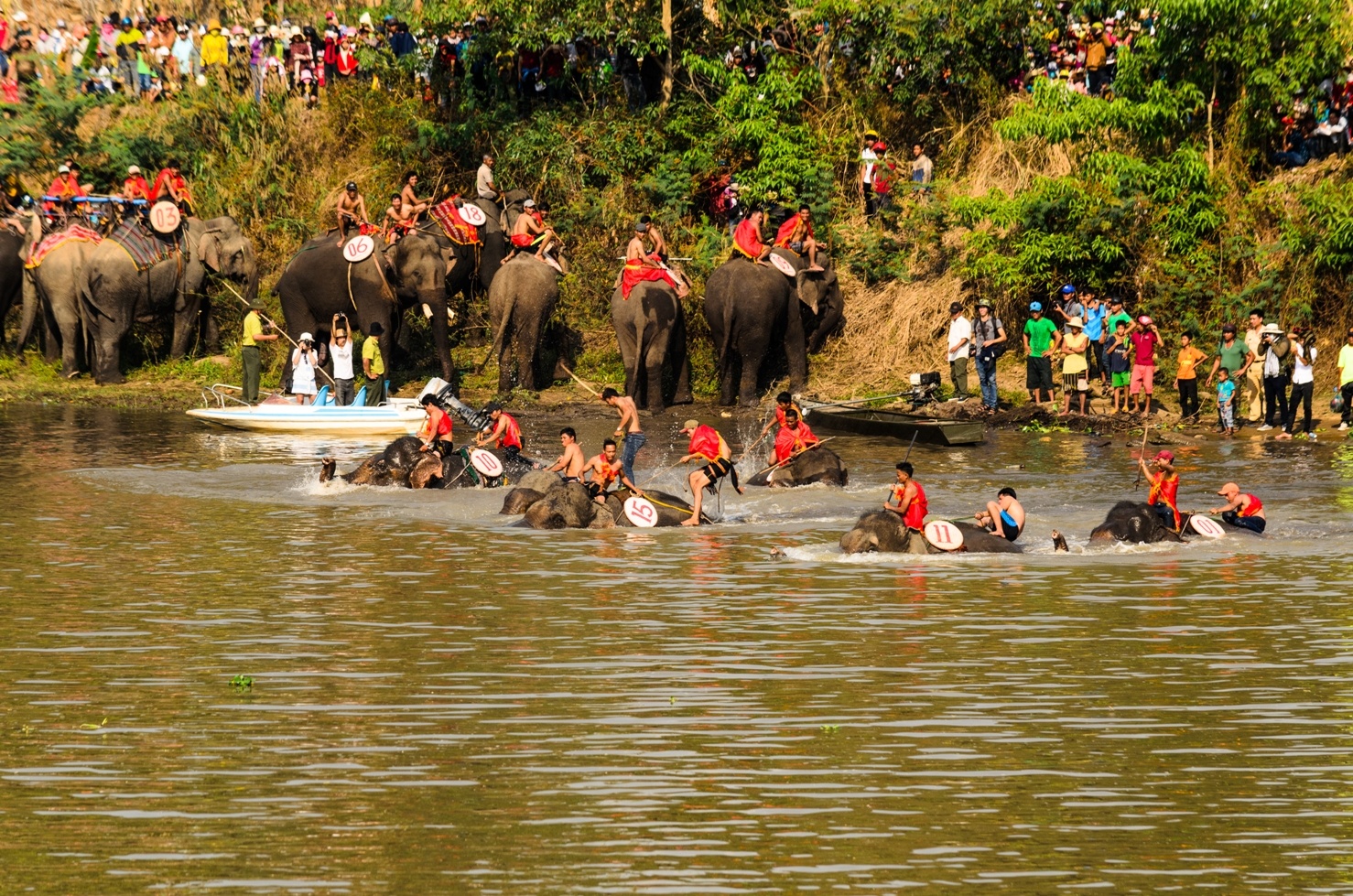 Lễ hội đua voi Buôn Đôn ảnh 8 Le hoi dua voi Buon Don anh 8