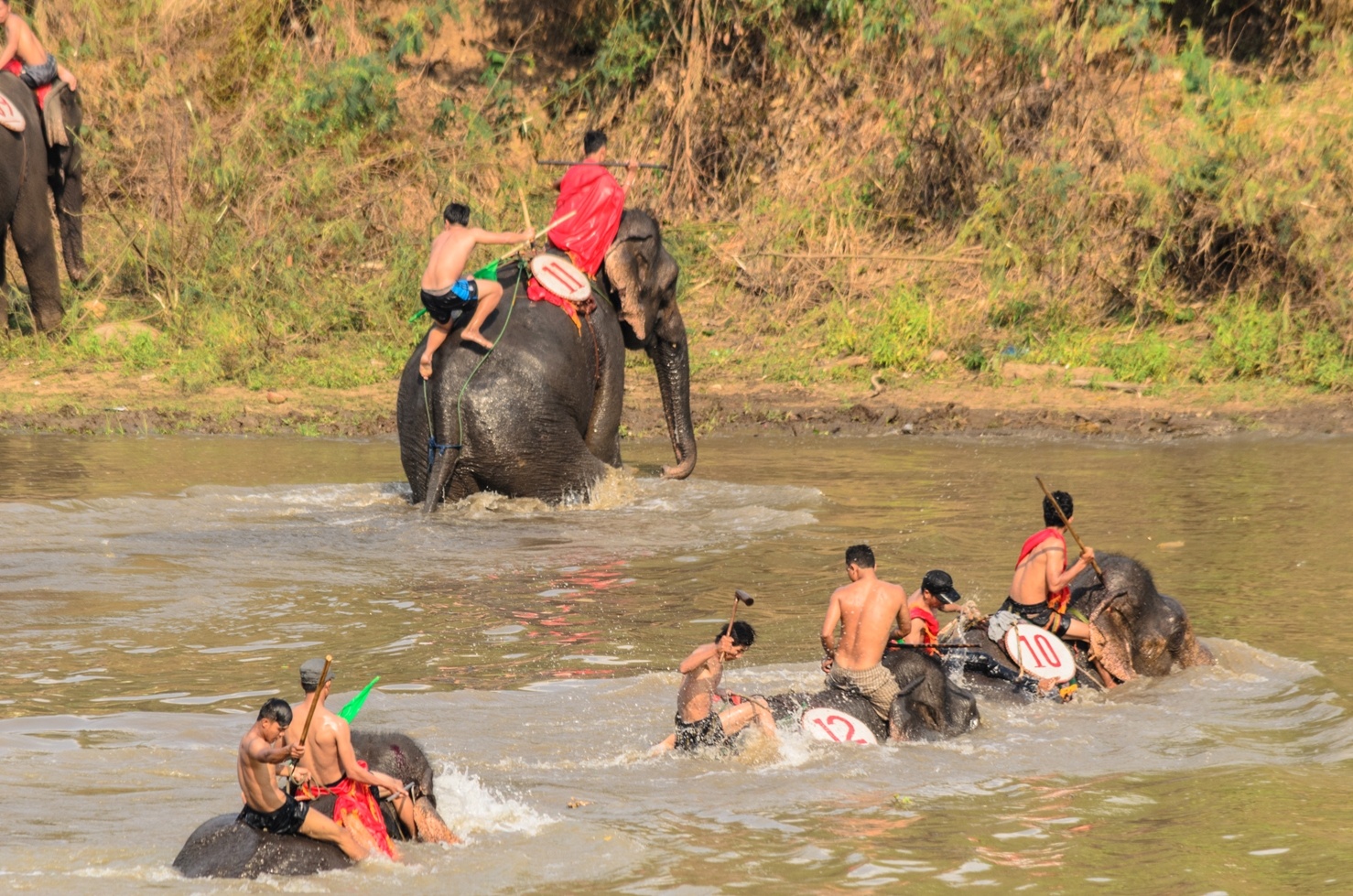 Lễ hội đua voi Buôn Đôn ảnh 12 Le hoi dua voi Buon Don anh 12
