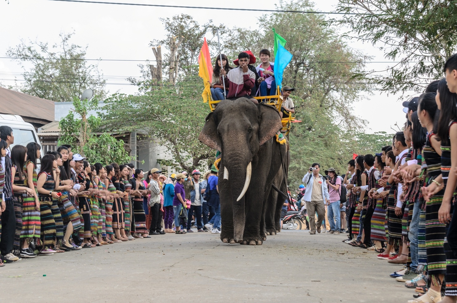 Lễ hội đua voi Buôn Đôn ảnh 13 Le hoi dua voi Buon Don anh 13