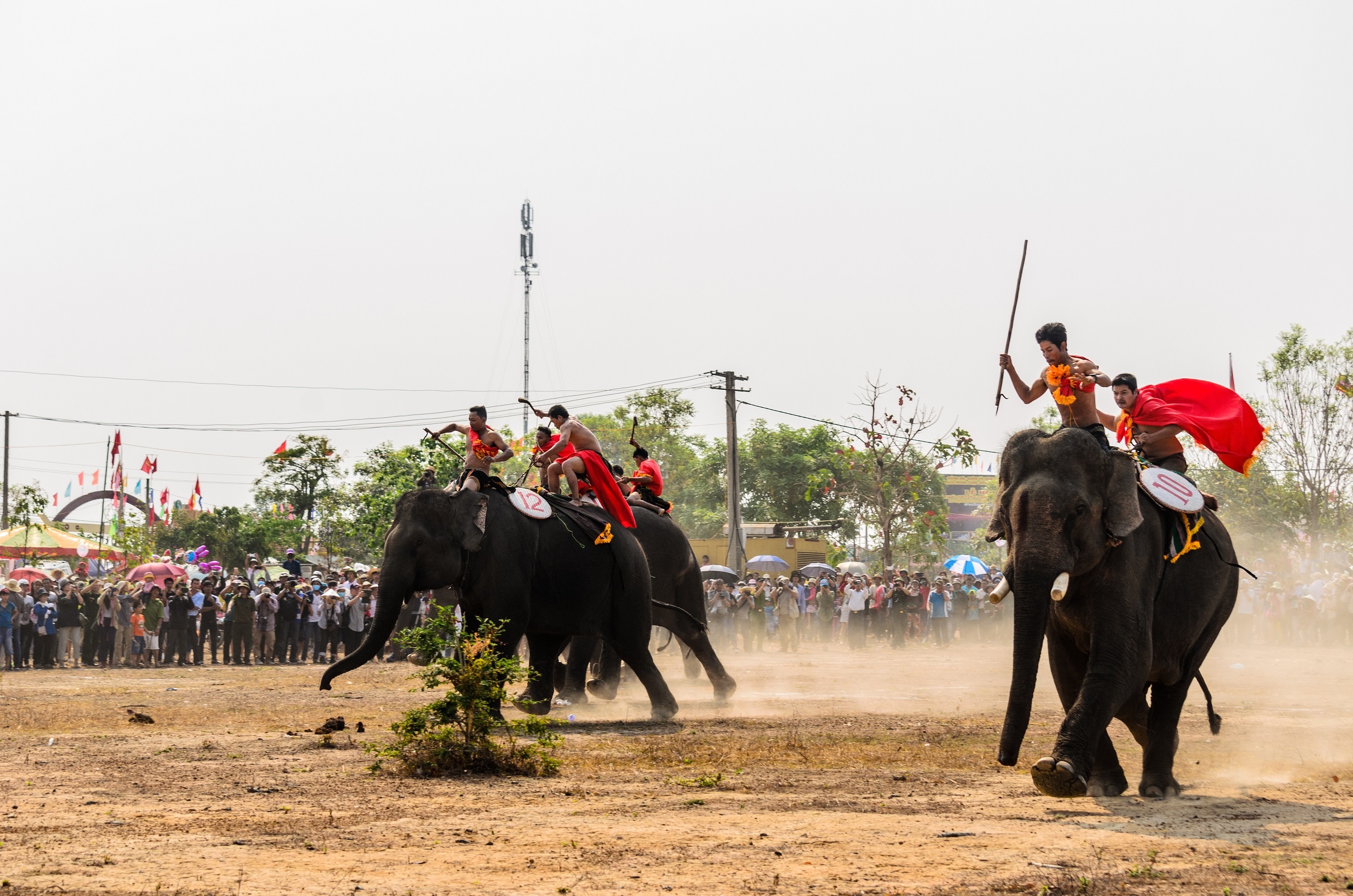 Lễ hội đua voi Buôn Đôn ảnh 4 Le hoi dua voi Buon Don anh 4