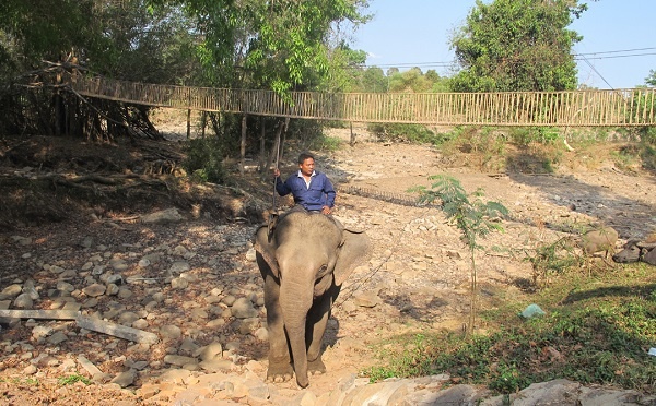 Ngành du lịch Đắc Lắk ảnh 2 Nganh du lich Dac Lak anh 2