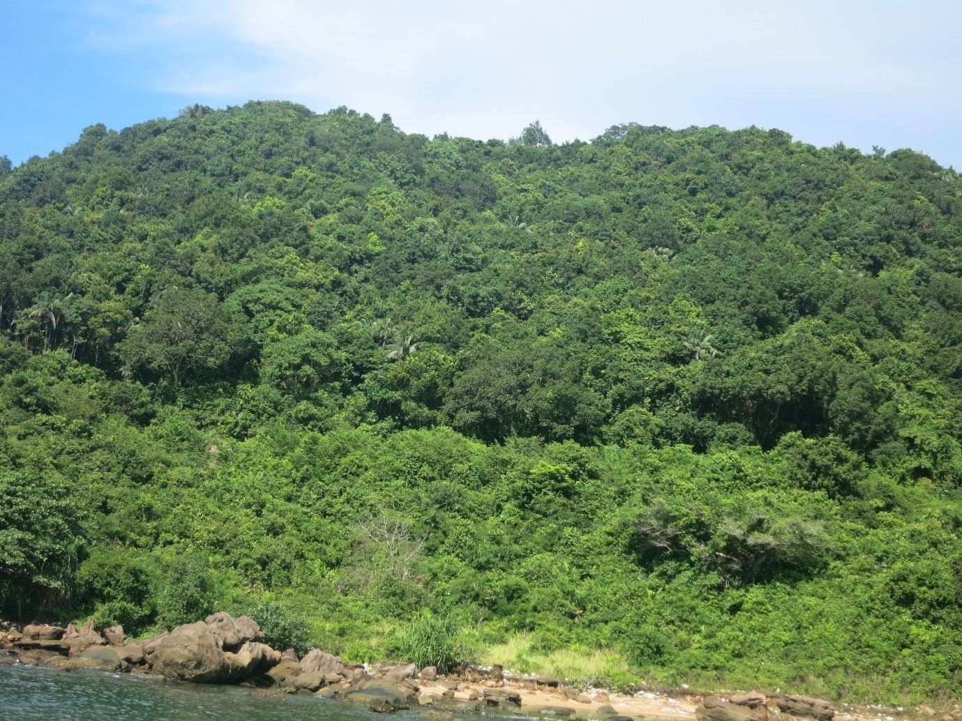 Du lịch quần đảo Phú Quốc ảnh 5 Du lich quan dao Phu Quoc anh 5