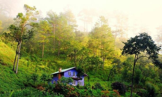 Kinh nghiem du lich Da Lat cho ky nghi hoan hao hinh anh