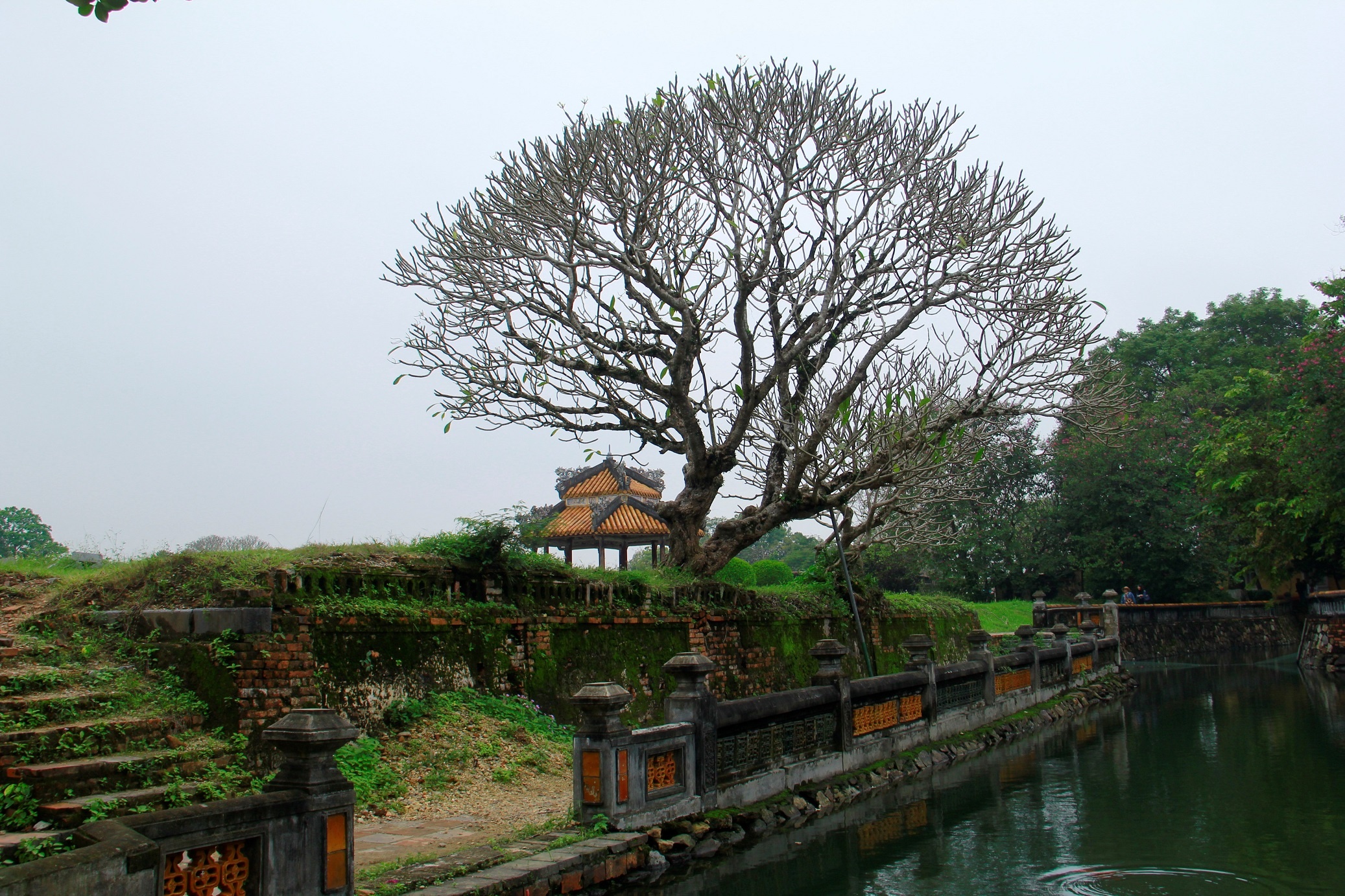 Hen ho xu Hue mua dong hinh anh