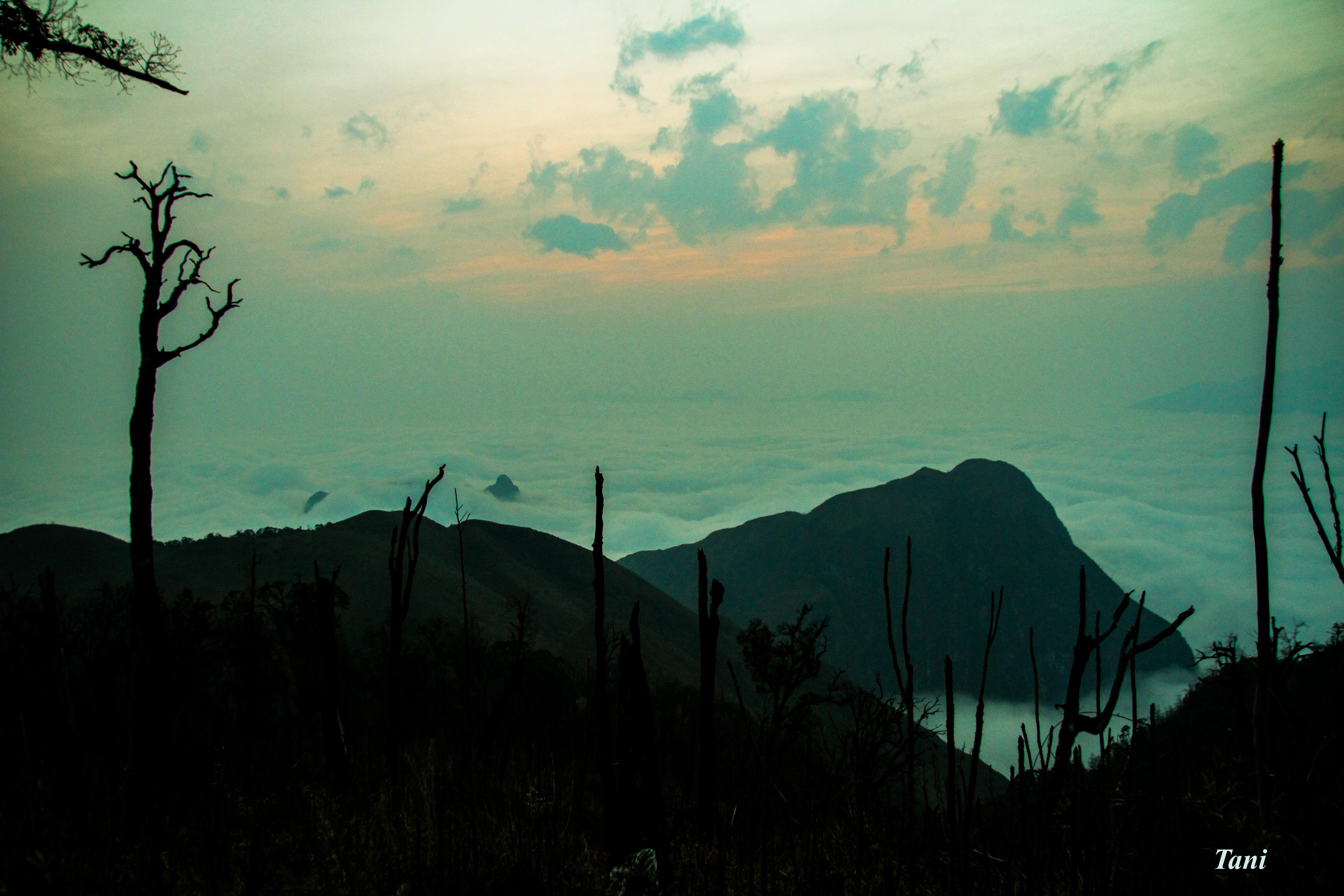 Bạch Mộc Lương Tử ảnh 19 Bach Moc Luong Tu anh 19