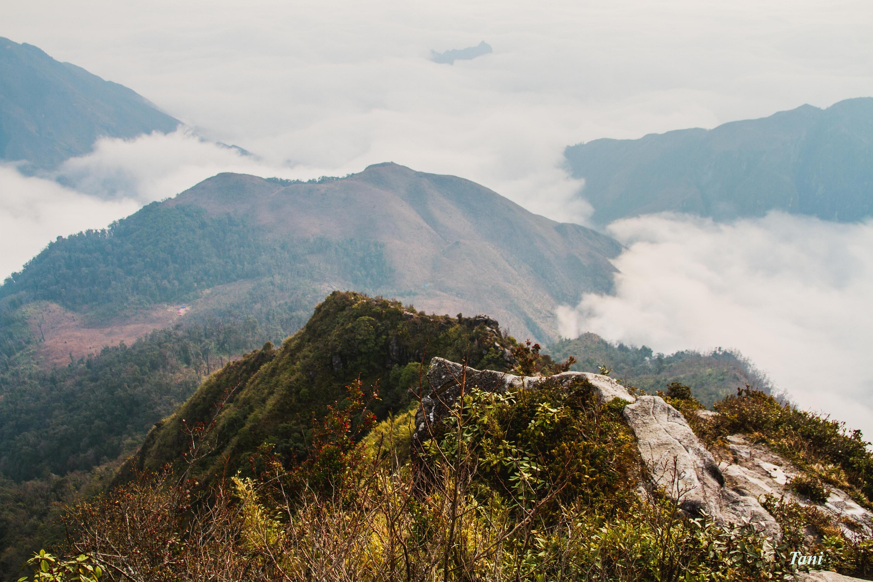 Bạch Mộc Lương Tử ảnh 2 Bach Moc Luong Tu anh 2