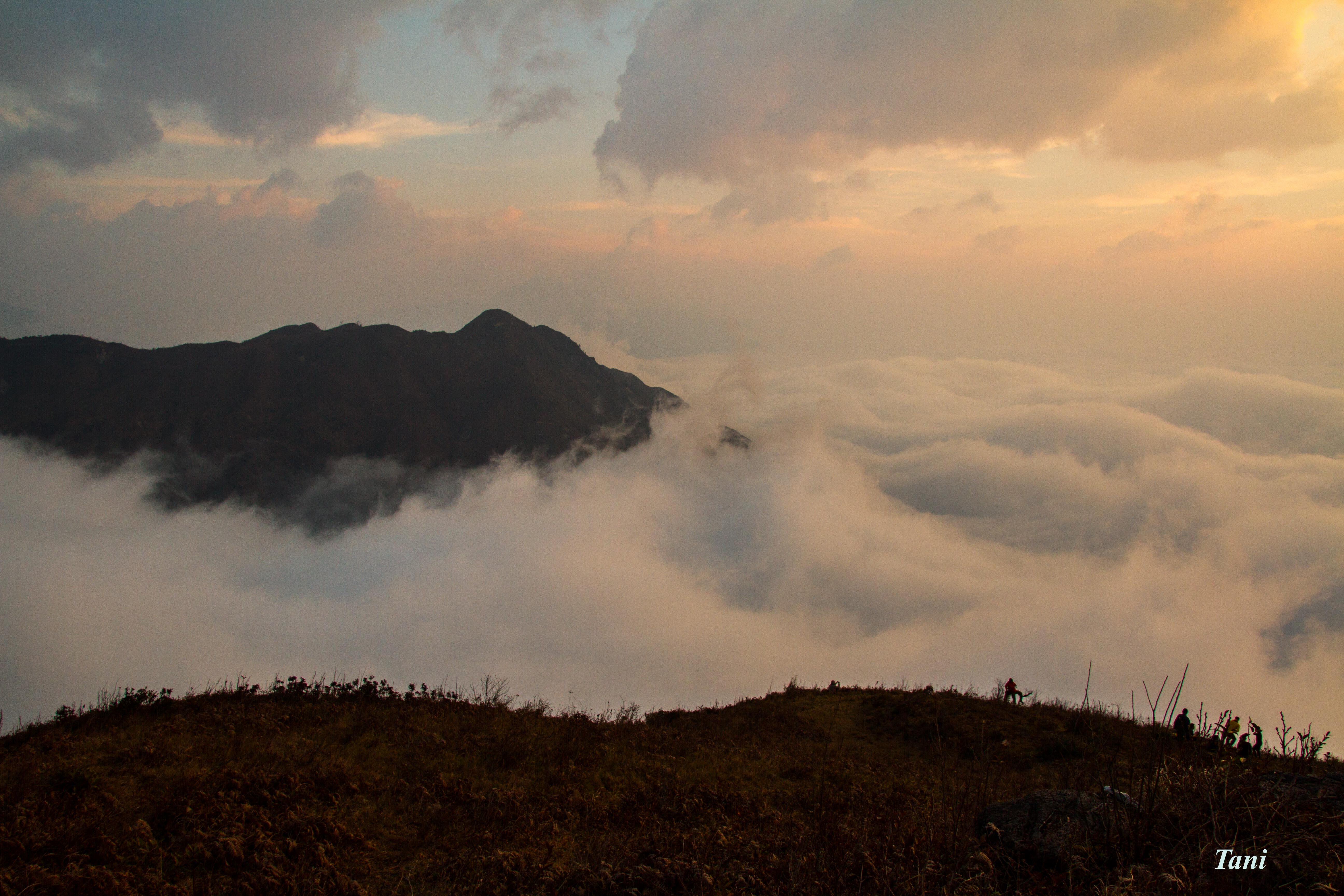 Bạch Mộc Lương Tử ảnh 3 Bach Moc Luong Tu anh 3