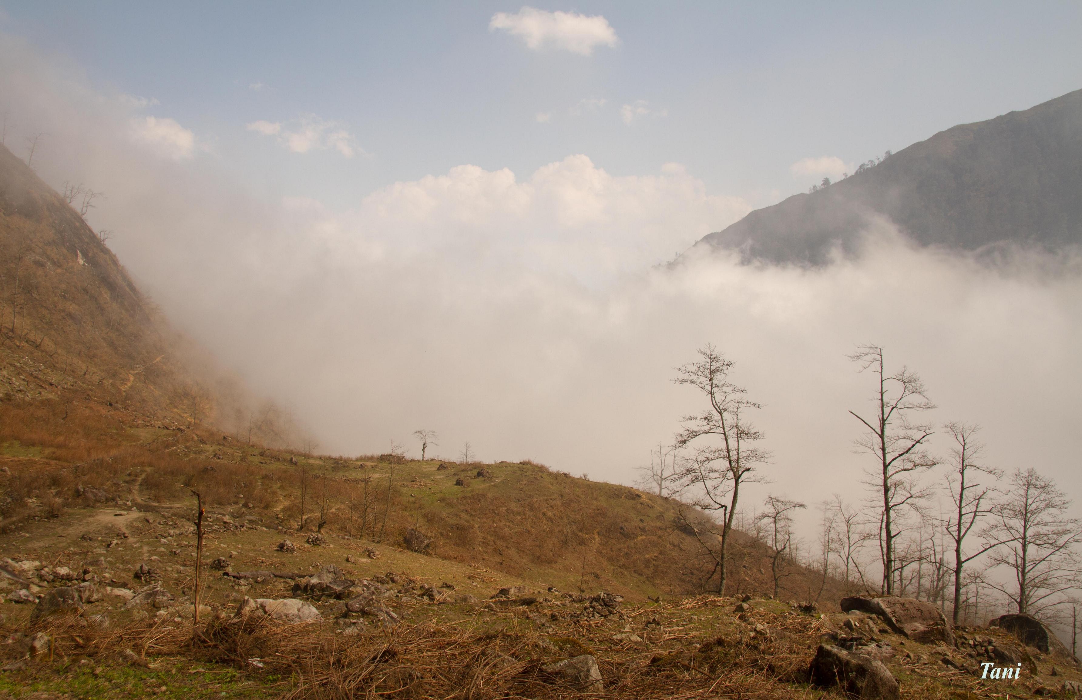 Bạch Mộc Lương Tử ảnh 4 Bach Moc Luong Tu anh 4