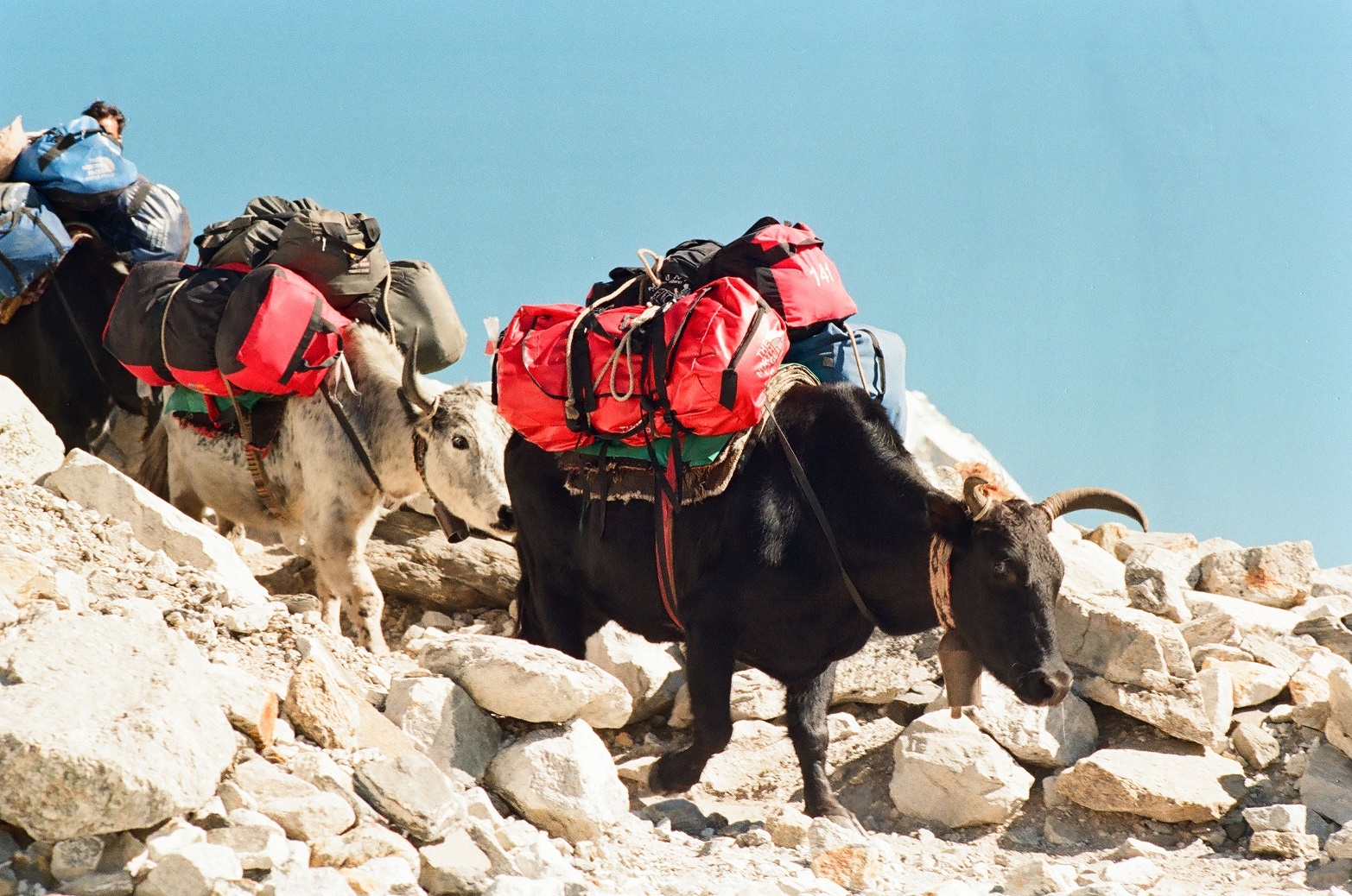 Kham pha day nui Himalaya anh 10