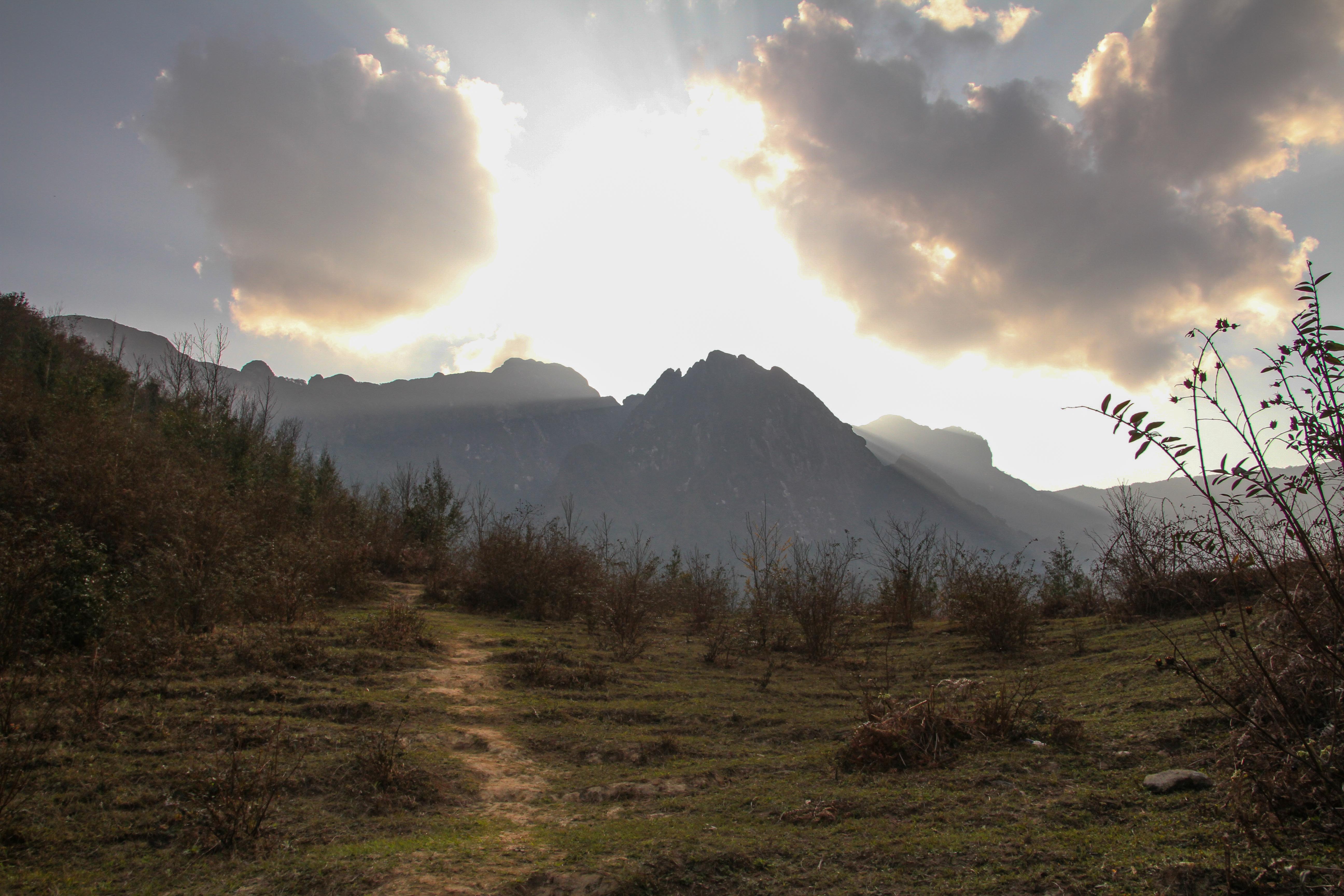 Bạch Mộc Lương Tử ảnh 7 Bach Moc Luong Tu anh 7