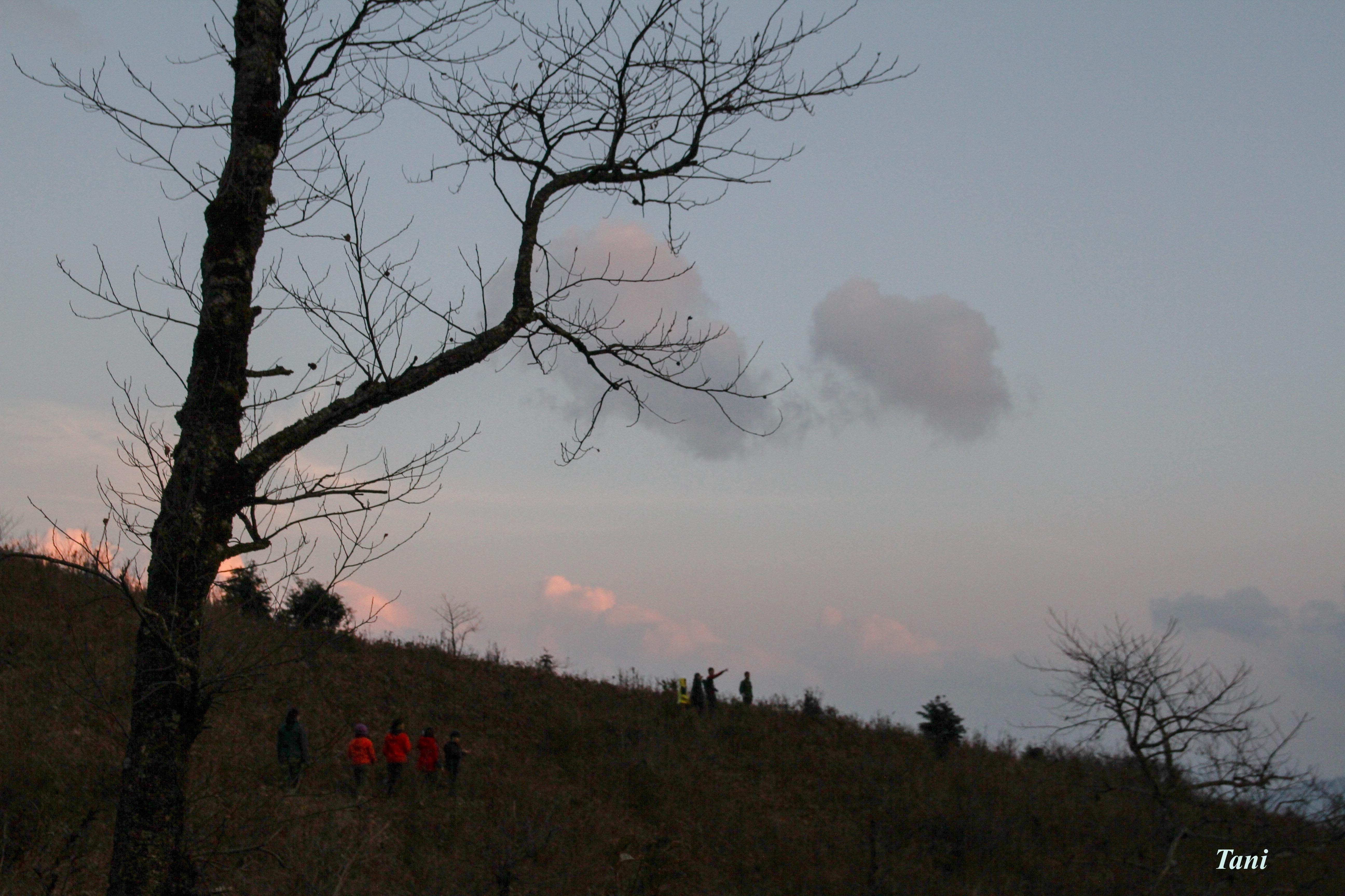 Bạch Mộc Lương Tử ảnh 8 Bach Moc Luong Tu anh 8