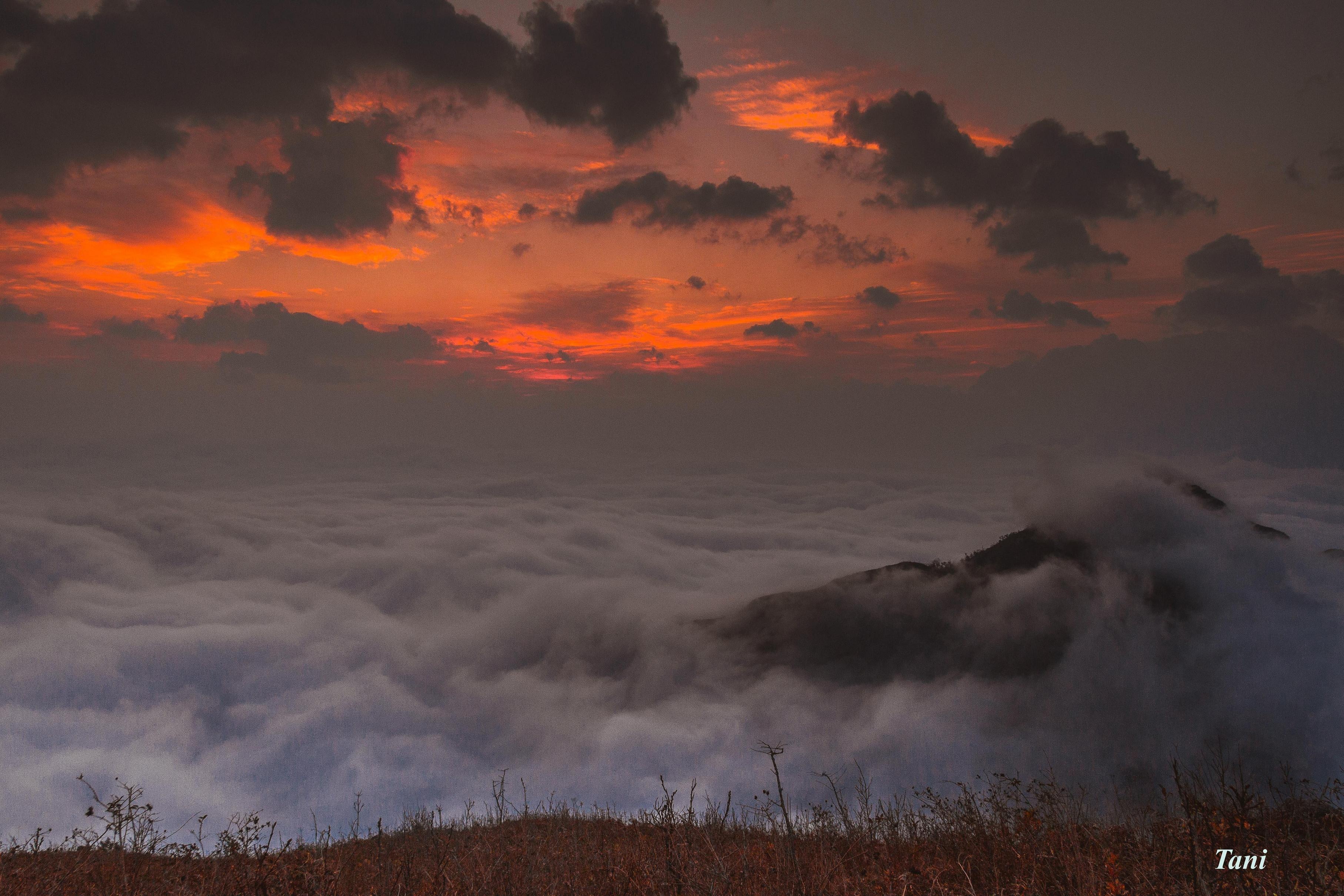 Bạch Mộc Lương Tử ảnh 10 Bach Moc Luong Tu anh 10