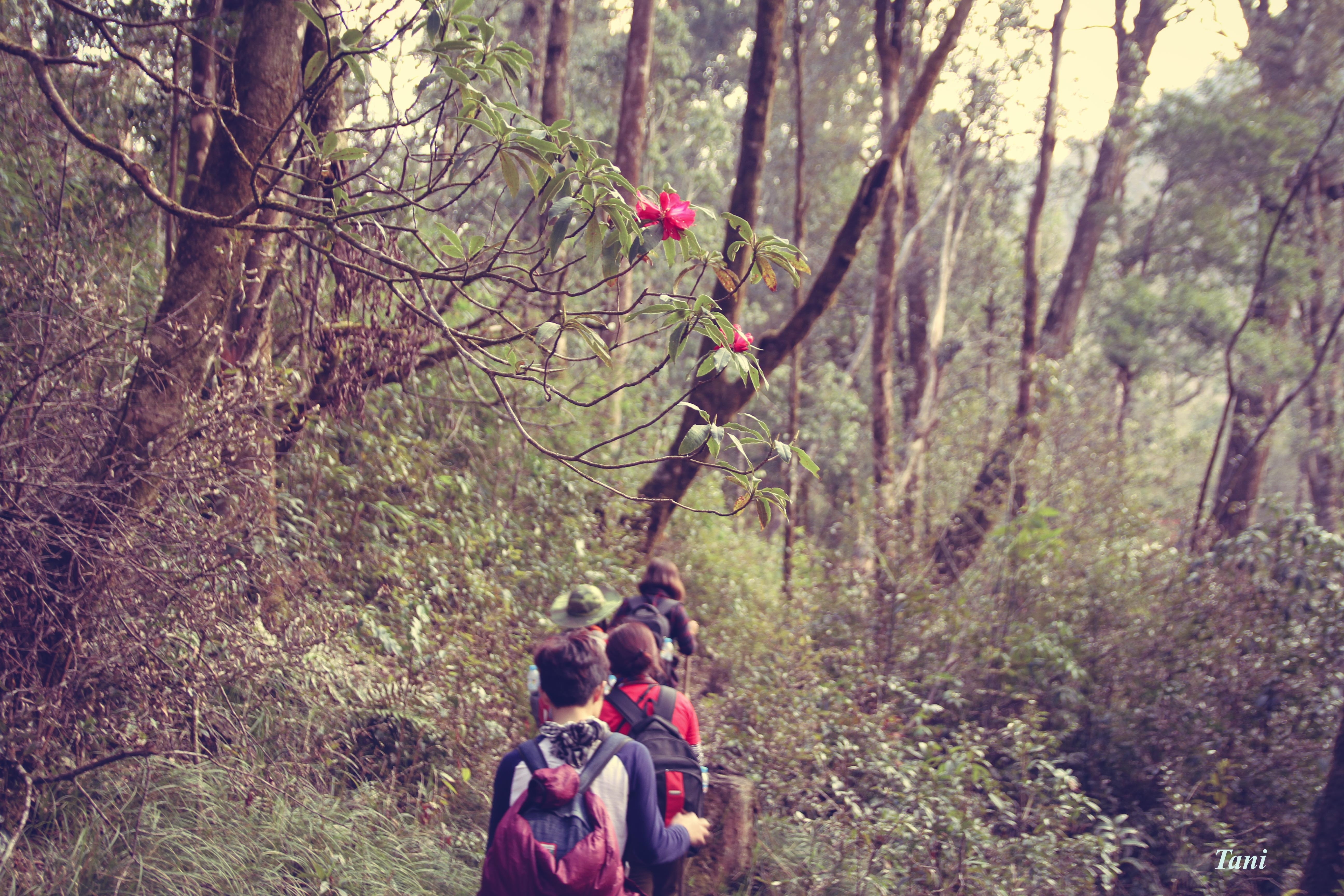 Bạch Mộc Lương Tử ảnh 11 Bach Moc Luong Tu anh 11