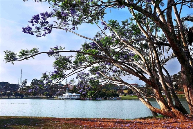 Da Lat mua phuong tim hinh anh