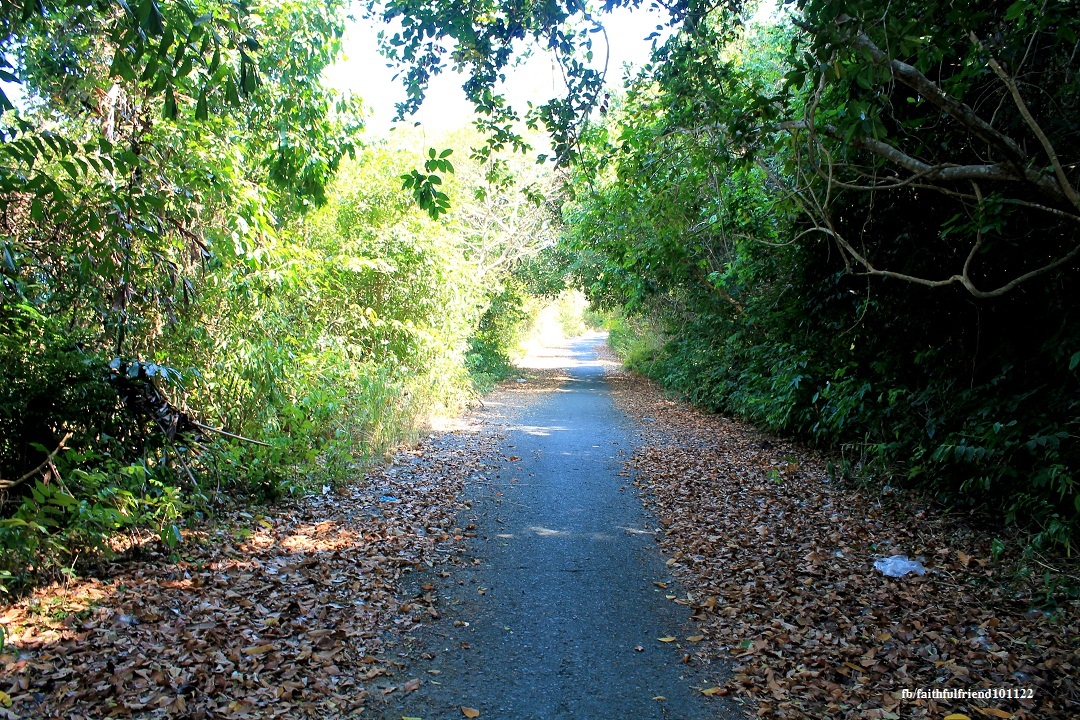 Ve dep cua dao Nam Du anh 13