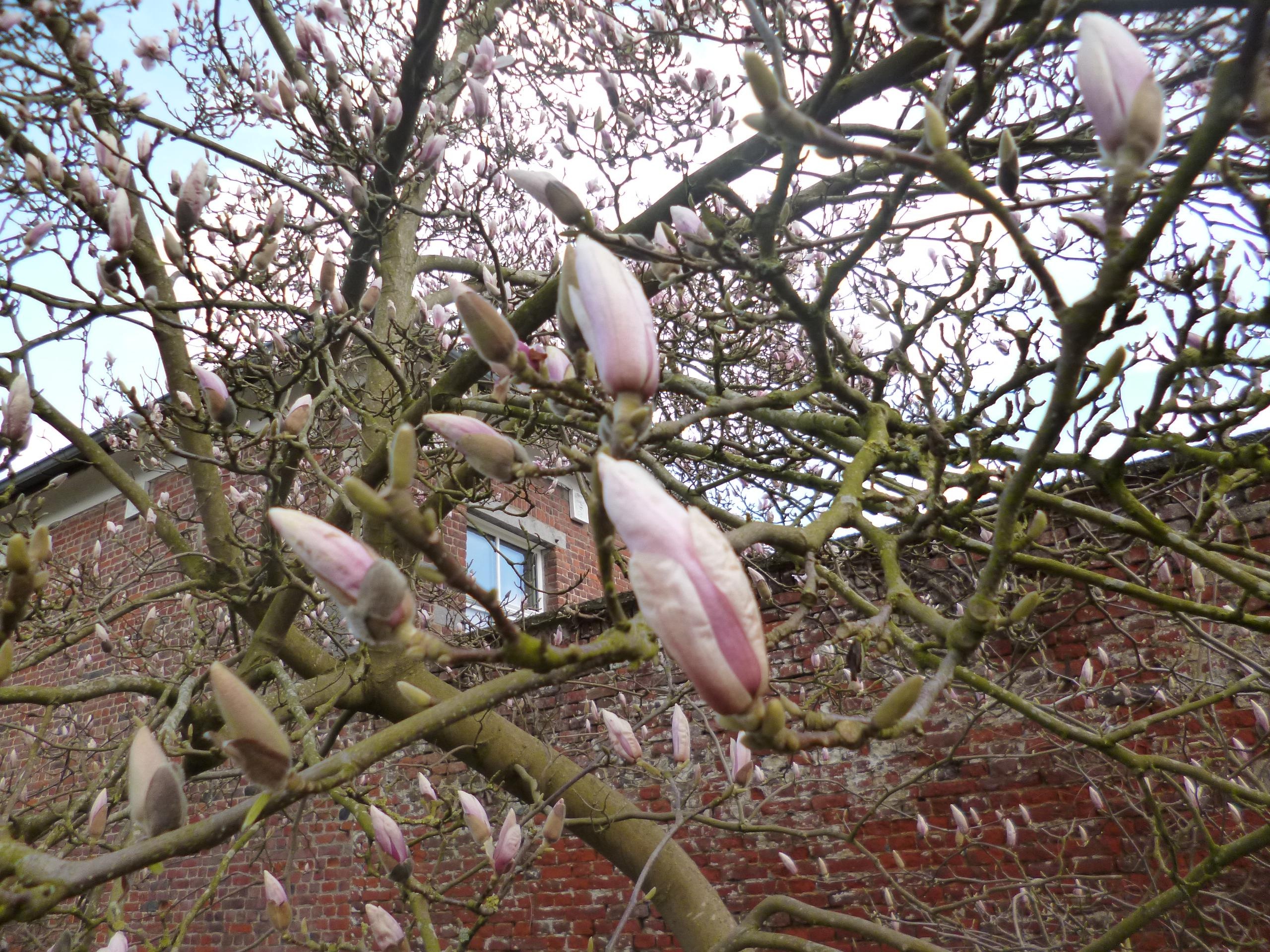 Danh bom o Brussels Bi anh 10