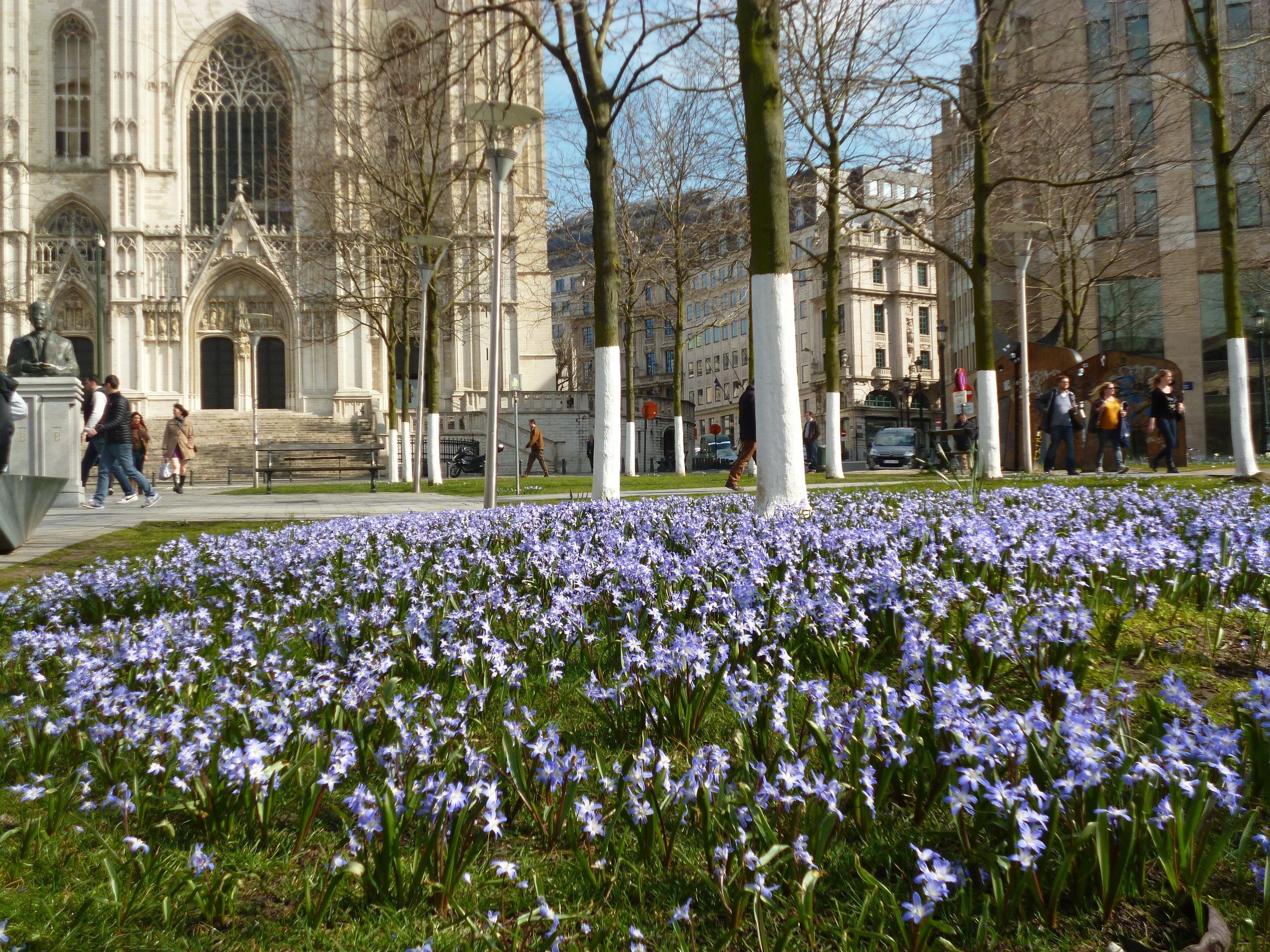 Danh bom o Brussels Bi anh 11