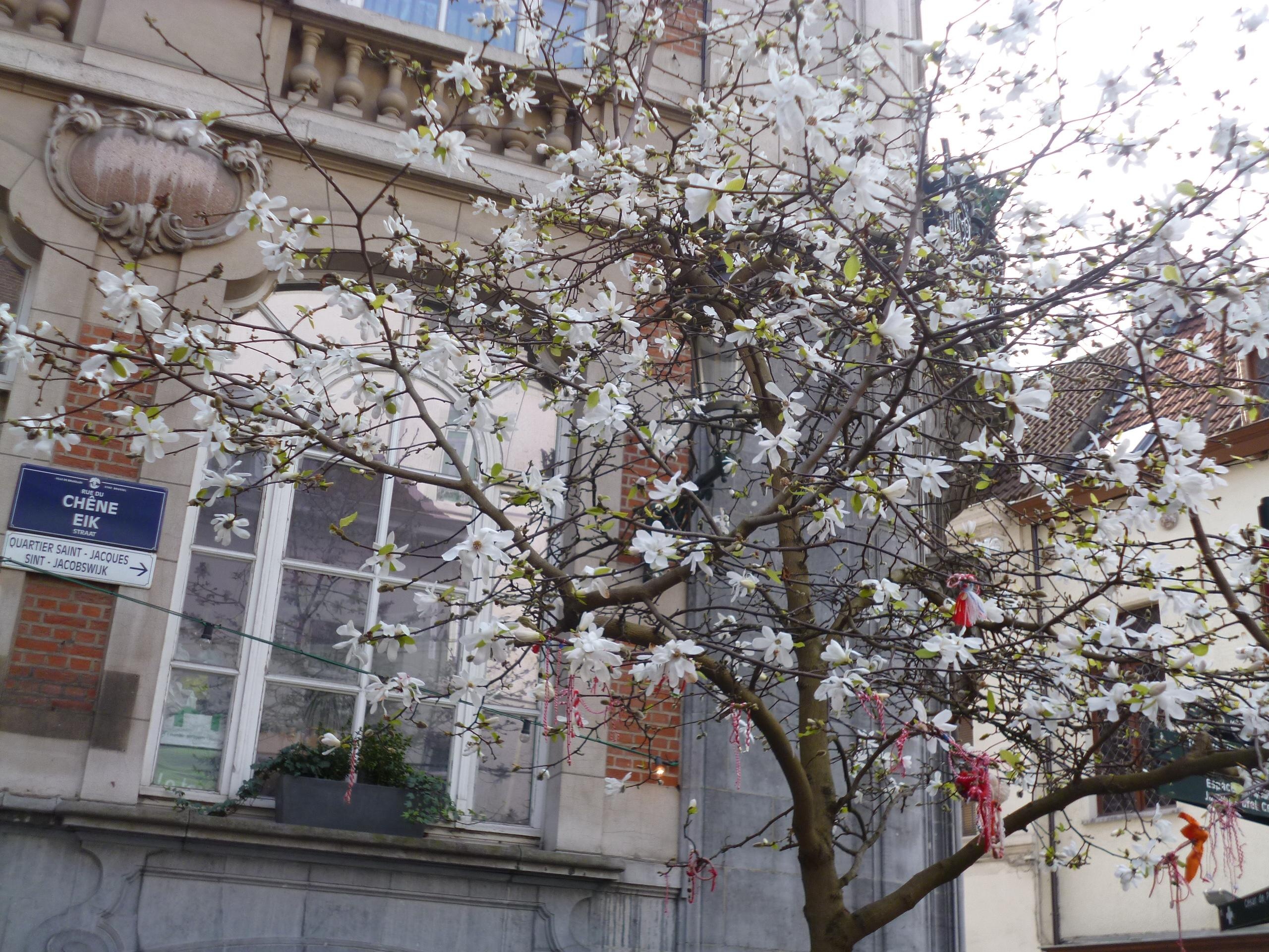 Danh bom o Brussels Bi anh 12