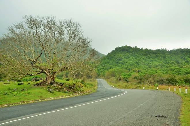Du lịch Phú Yên ảnh 6 Du lich Phu Yen anh 6