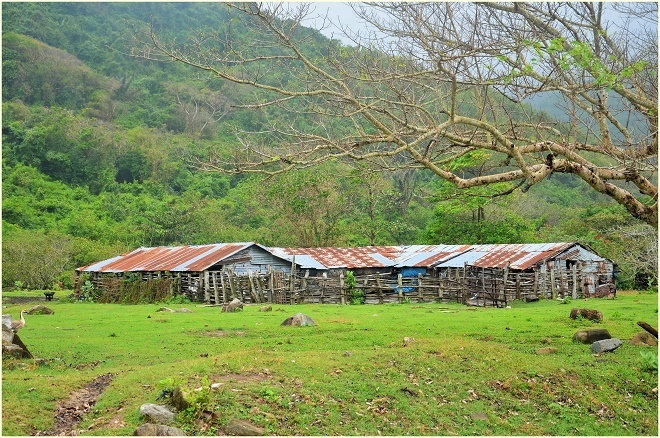 Du lịch Phú Yên ảnh 7 Du lich Phu Yen anh 7