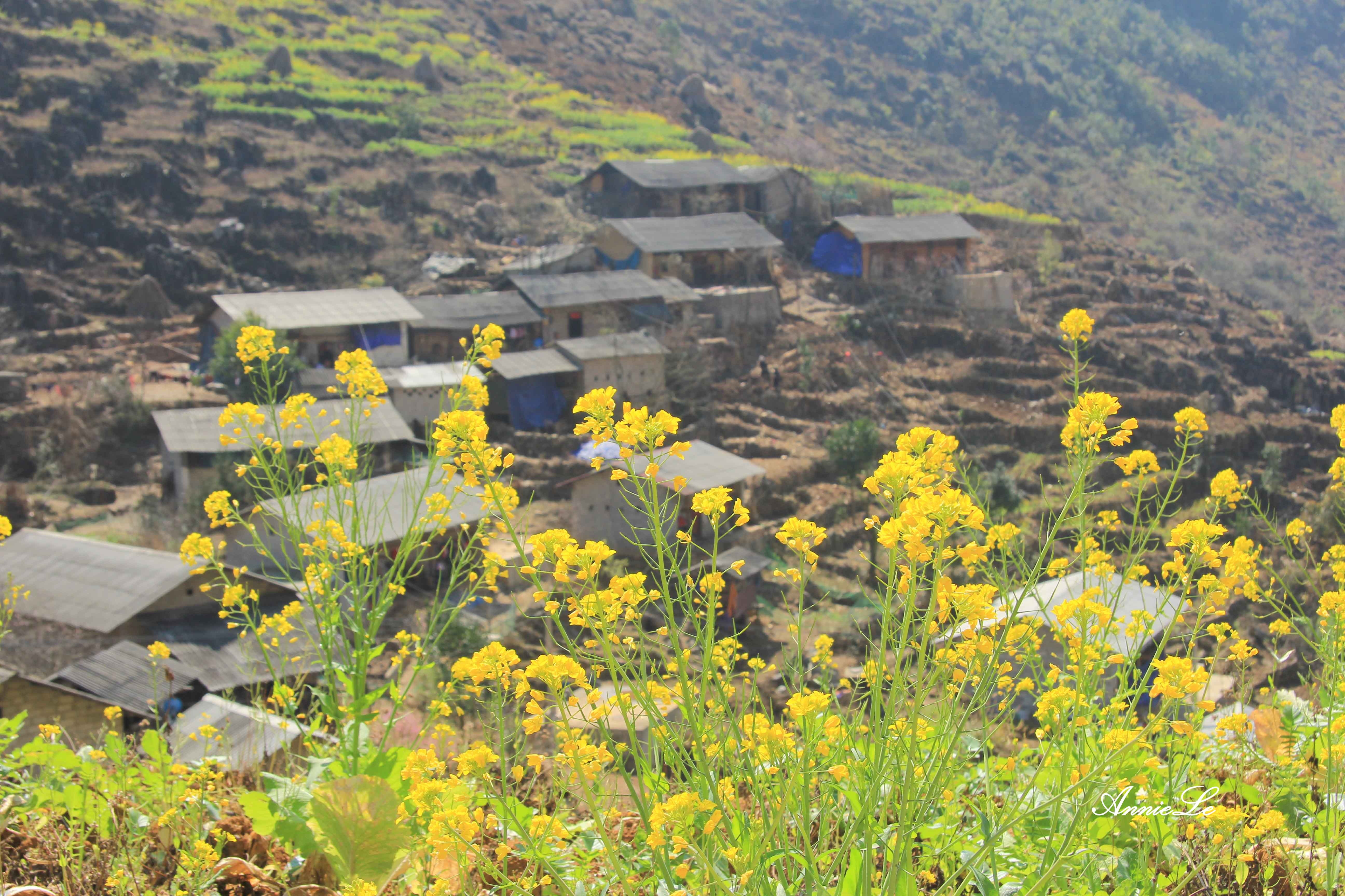 Pho Bang Dong Van anh 10