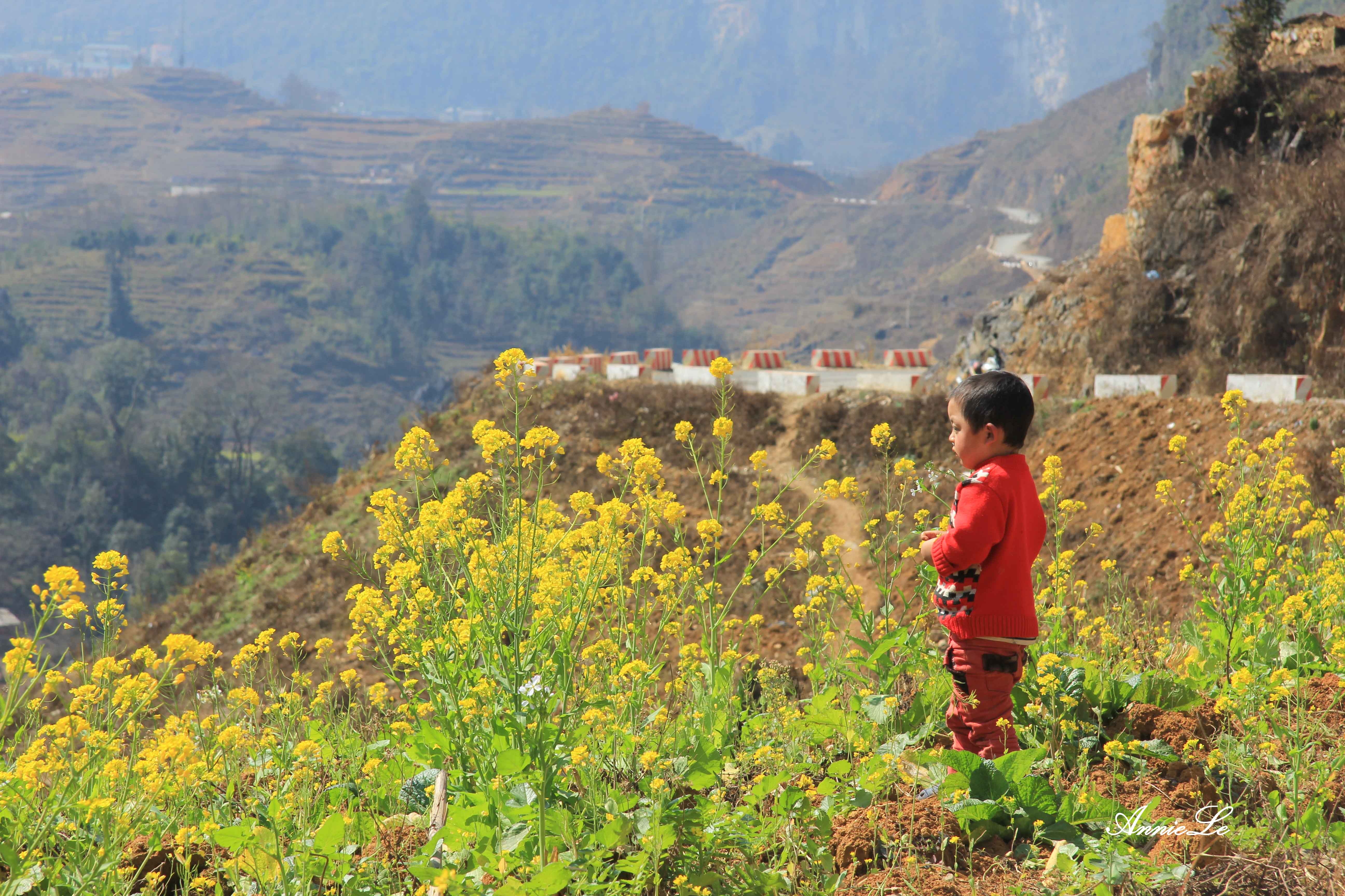 Pho Bang Dong Van anh 12