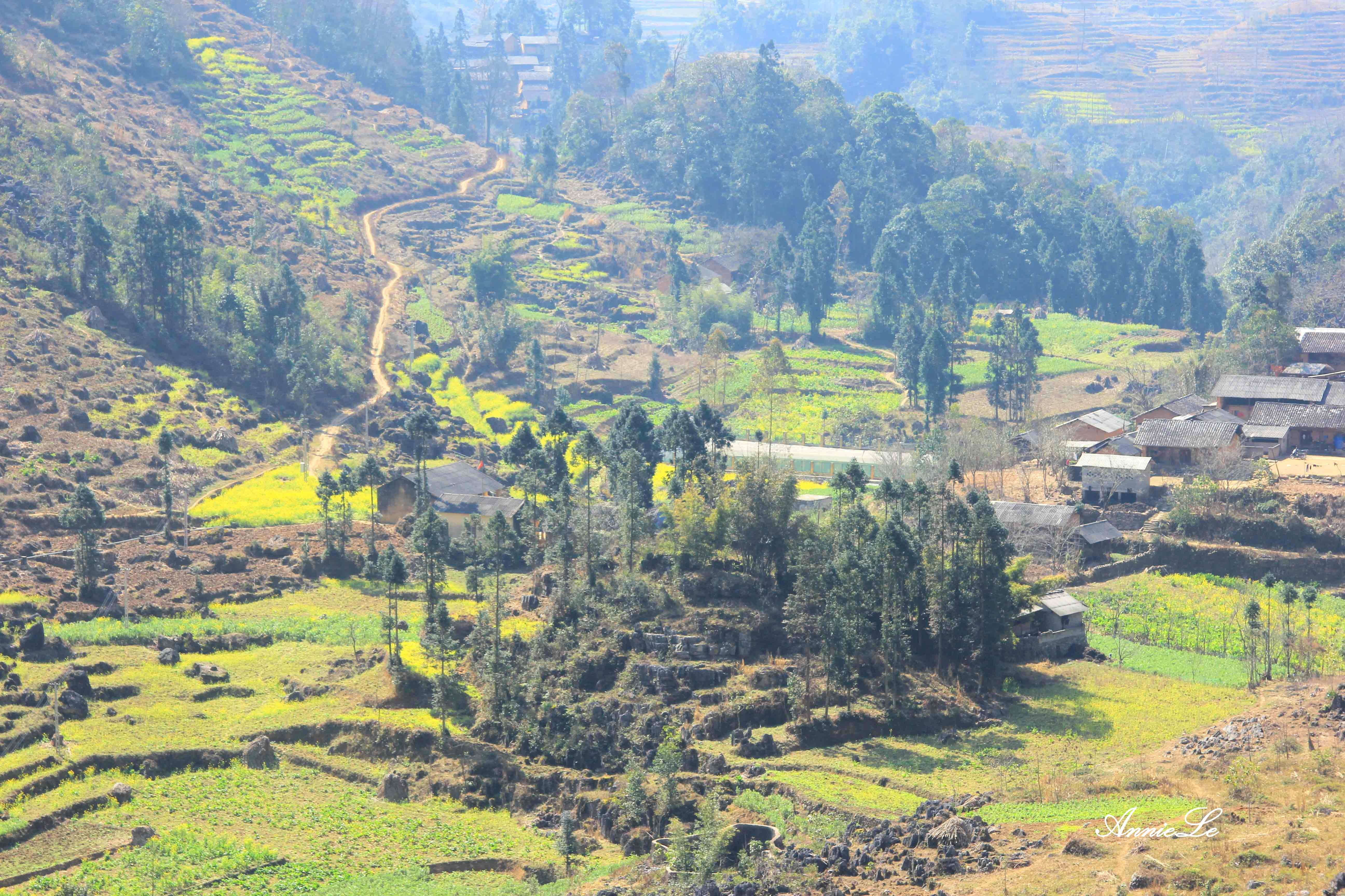 Pho Bang Dong Van anh 9