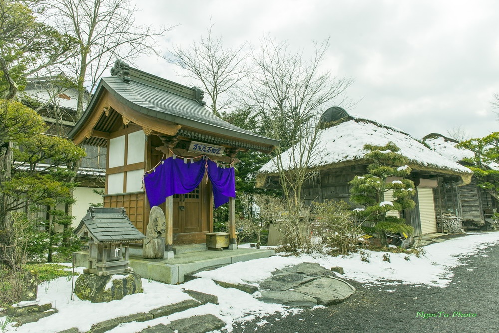 Mùa hoa ở Nhật Bản ảnh 7 Mua hoa o Nhat Ban anh 7