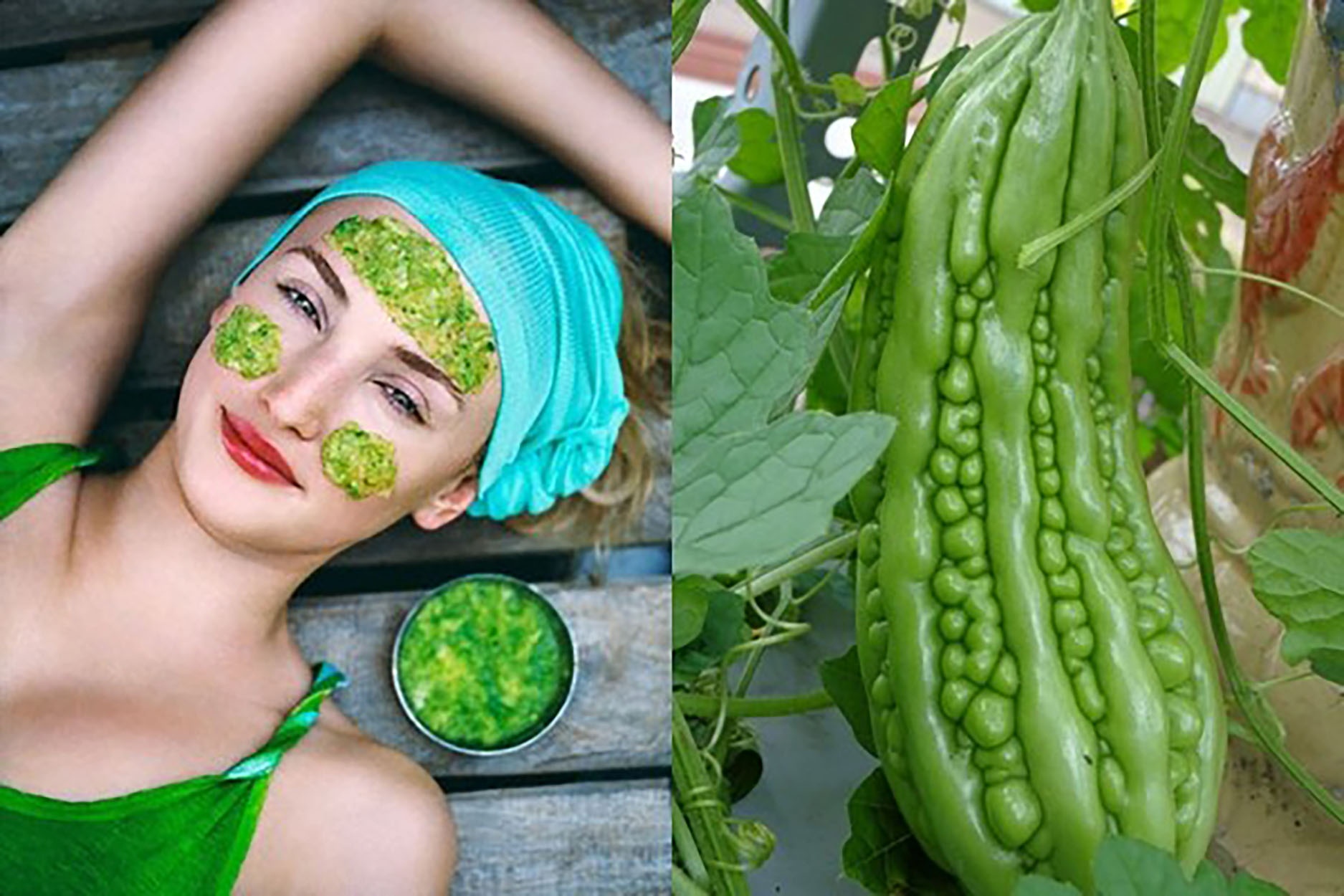 Cong dung cua muop dang anh 2