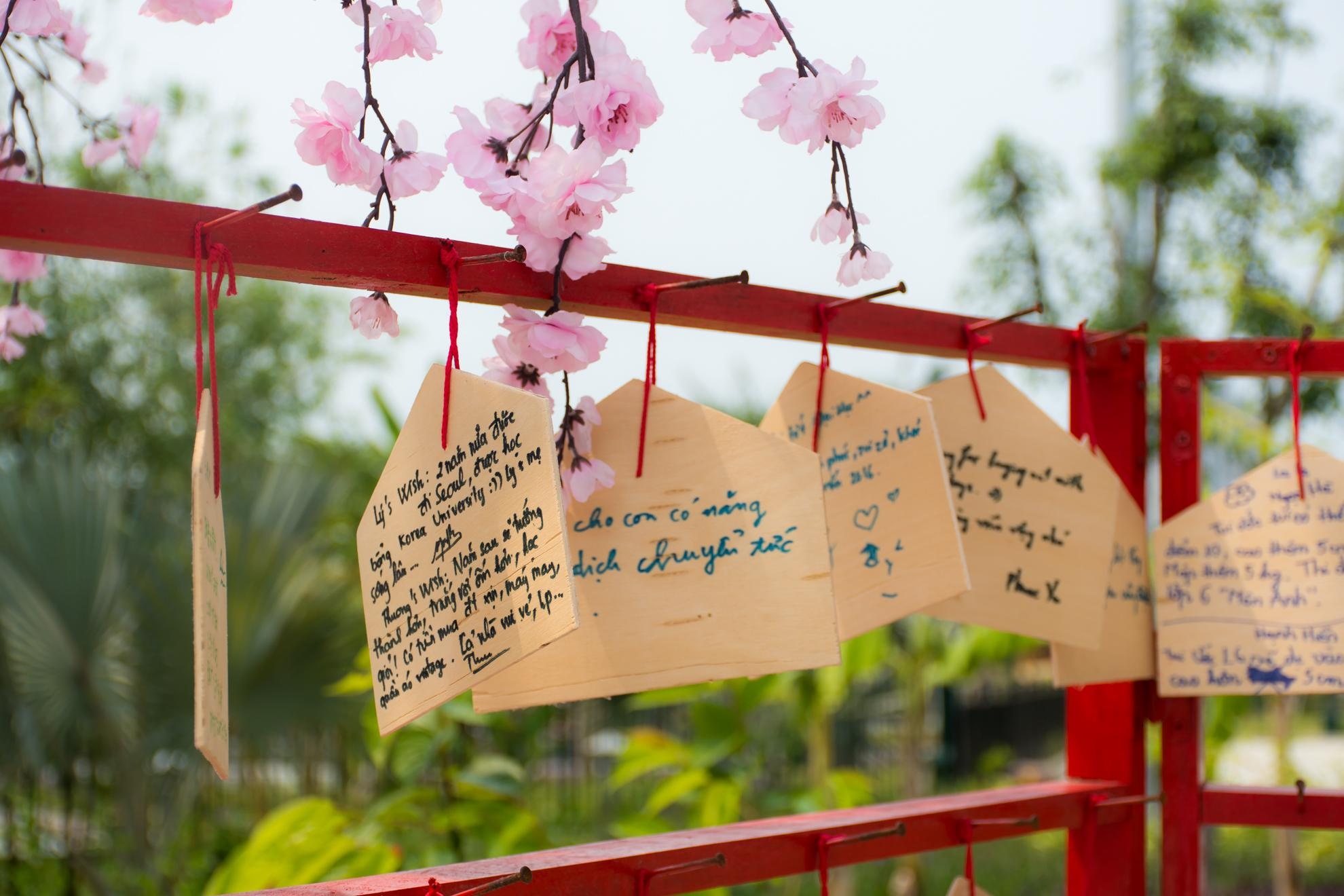 Khai mac le hoi hoa anh dao Da nang anh 10